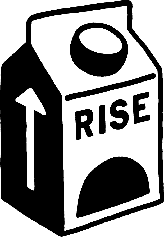 RISE Projects LTD